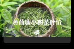 薄荷塘小树茶叶价格