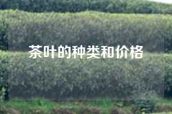 茶叶的种类和价格