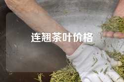 连翘茶叶价格