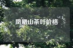 凤凰山茶叶价格