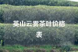 英山云雾茶叶价格表