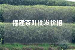 福建茶叶批发价格