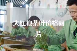 大红袍茶叶价格图片