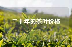 二十年的茶叶价格