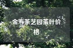 金寿茶艺园茶叶价格