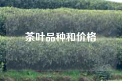 茶叶品种和价格
