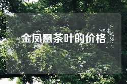 金凤凰茶叶的价格