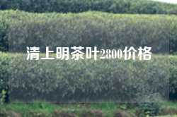 清上明茶叶2800价格
