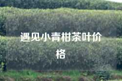遇见小青柑茶叶价格