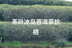 茶叶冰岛普洱茶价格