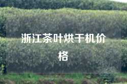 浙江茶叶烘干机价格