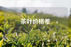 茶叶价格差
