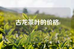 古龙茶叶的价格