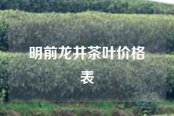 明前龙井茶叶价格表