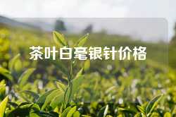 茶叶白毫银针价格