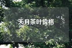 天月茶叶价格