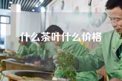 什么茶叶什么价格