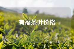 有福茶叶价格