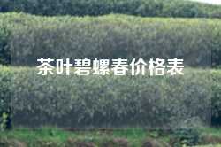 茶叶碧螺春价格表