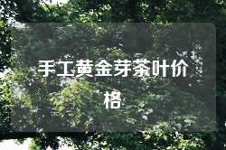 手工黄金芽茶叶价格