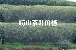 崂山茶叶价格