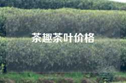 茶趣茶叶价格