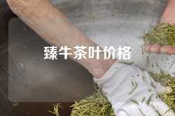 臻牛茶叶价格