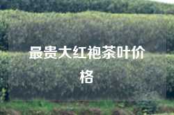 最贵大红袍茶叶价格
