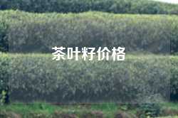 茶叶籽价格