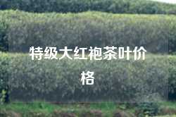 特级大红袍茶叶价格