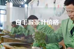 白毛猴茶叶价格